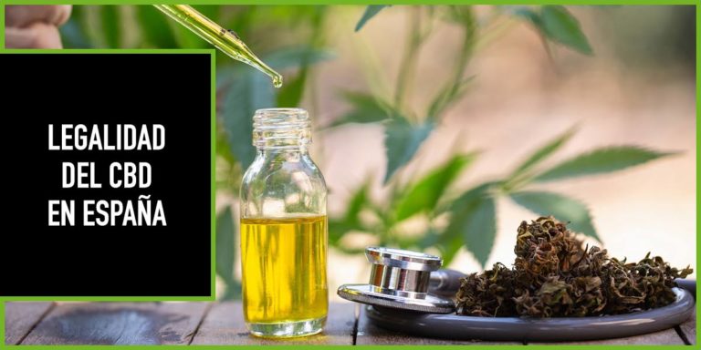 LEGALIDAD-CBD-ESPANA-Y-UE situacion legal del cbd en españa