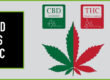 diferencias entre el cbd y thc