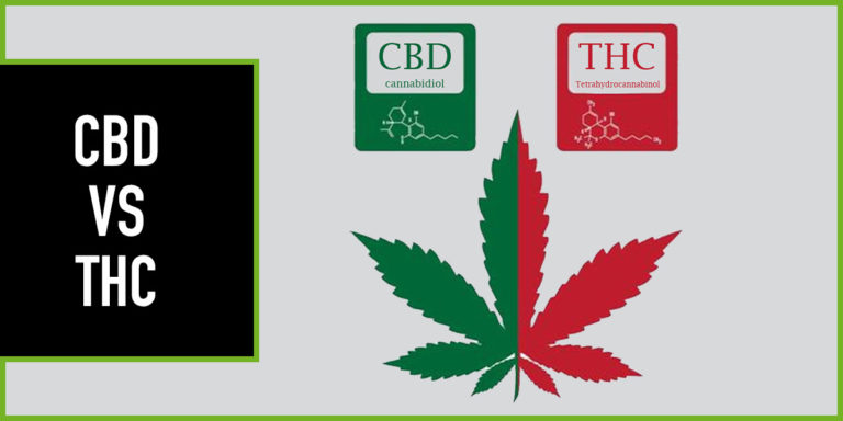 cbd-vs-thc-diferencias diferencias entre el cbd y thc