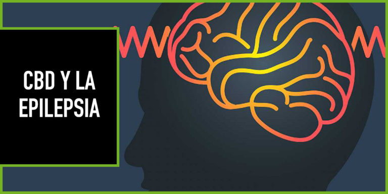 cbd-y-epilepsia El CBD y la Epilepsia