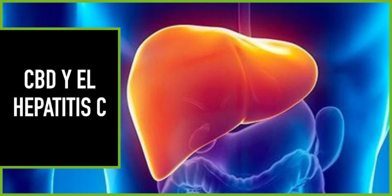 cbd-y-hepatitis-c la hepatitis c tratada con cbd