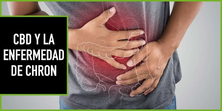 cbd-y-la-enfermedad-de-chron cbd enfermedad de chron
