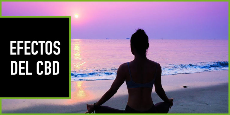 efectos-del-cbd Efectos del cbd