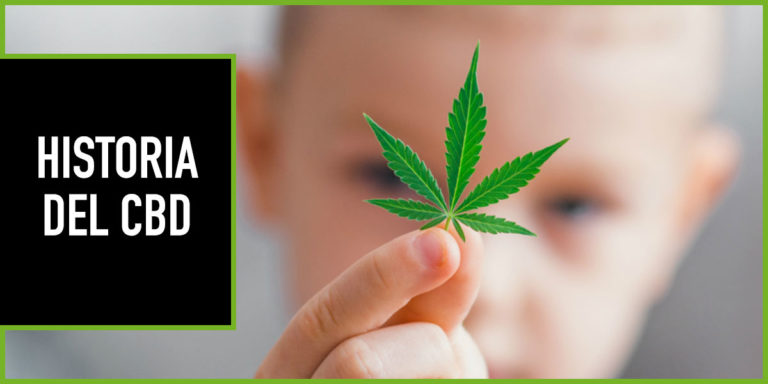 historia-del-cbd Blog 16