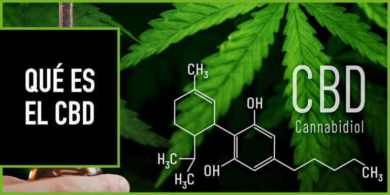 que-es-el-cbd-hispacbd que es el cbd - guia cbd
