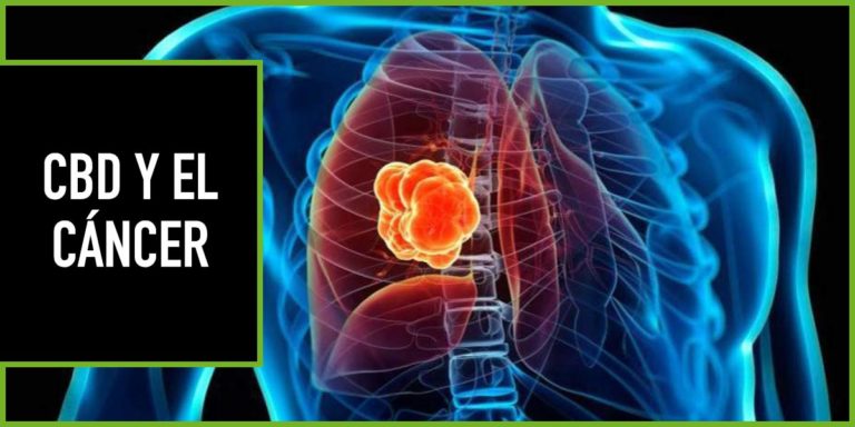 uso-del-cbd-cancer uso del cbd en el cancer