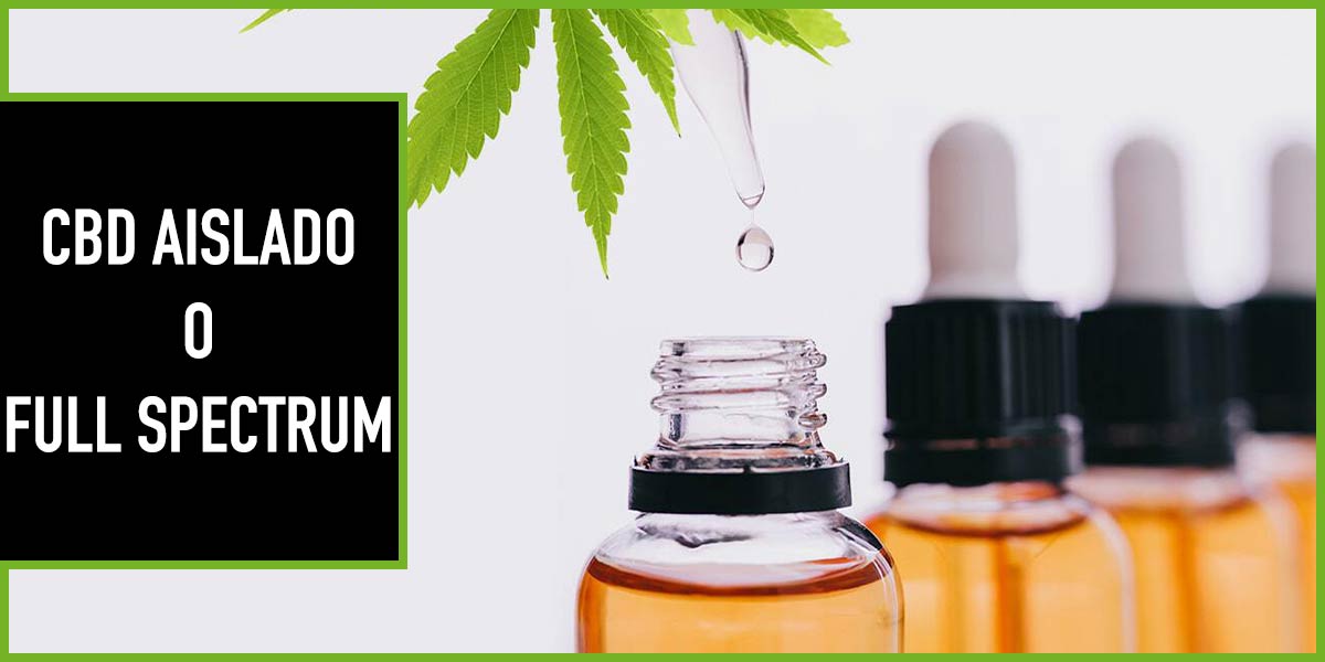 ¿CBD Aislado VS CBD Espectro Completo? Te Lo Contamos.