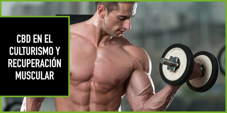CBD-CULTURISMO-RECUPERACION-MUSCULAR cbd en el culturismo