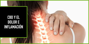 cbd y el dolor y la inflamación