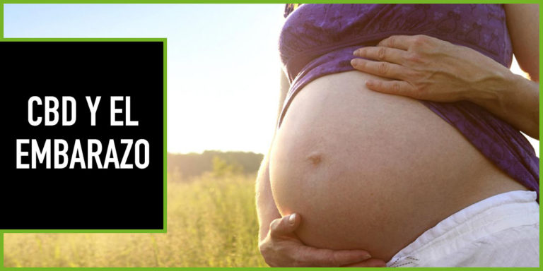 CBD-EMBARAZO cbd y embarazo