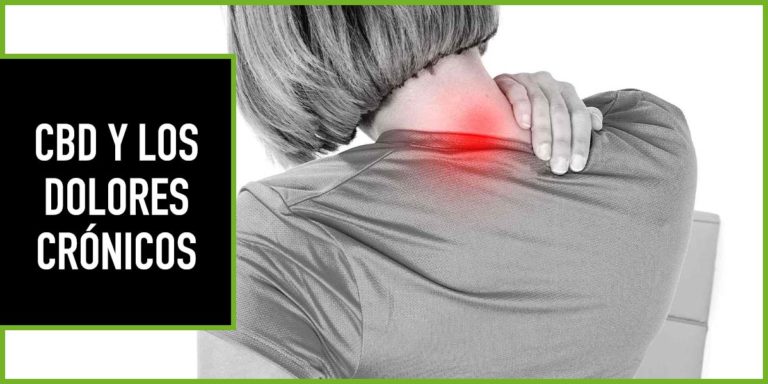 CBD-Y-DOLOR-CRONICO cbd y dolor cronico