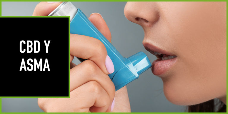 CBD-y-asma cbd y asma