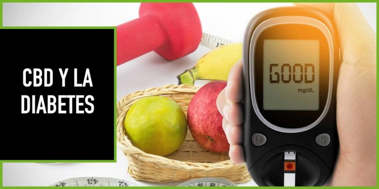 Cbd-y-diabetes cbd y diabetes