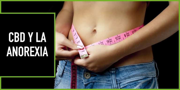 cbd-anorexia cbd y anorexia
