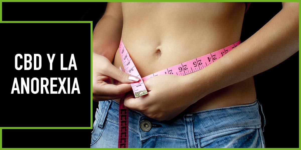 cbd y anorexia