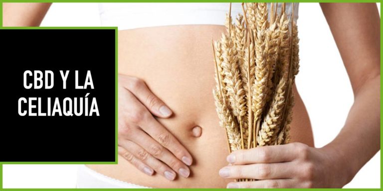 cbd-celiaquia cbd sin gluten