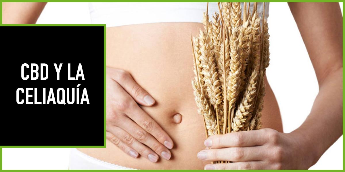 cbd-celiaquia cbd sin gluten
