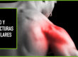 cbd para contracturas musculares