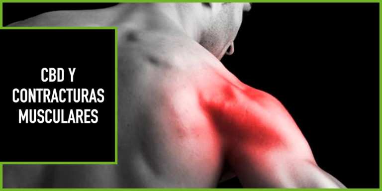 cbd-contracturas-musculares cbd para contracturas musculares