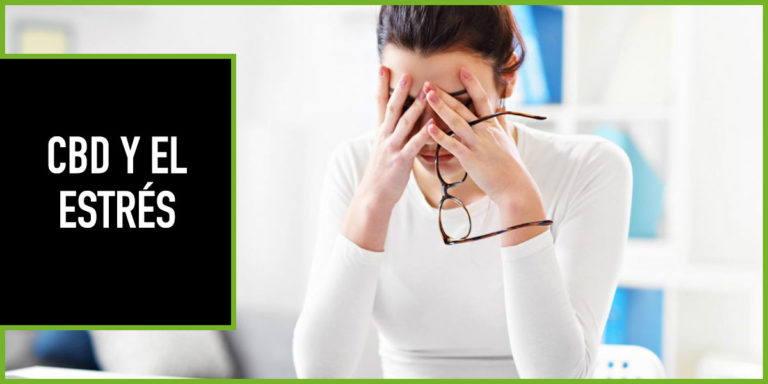 cbd-estres CBD y estres