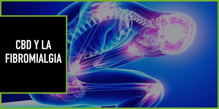 cbd-fibromialgia cbd fibromialgia