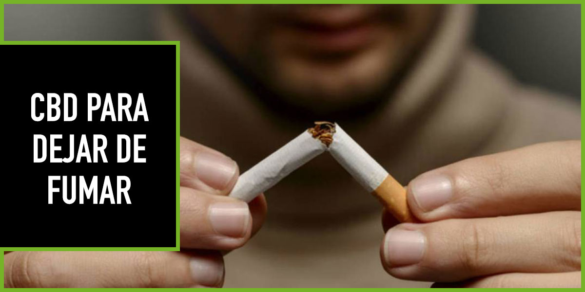 Es eficaz el CBD para dejar de fumar marihuana? (Entrevista a un  consumidor) - Tratamiento de Adicciones en Logroño