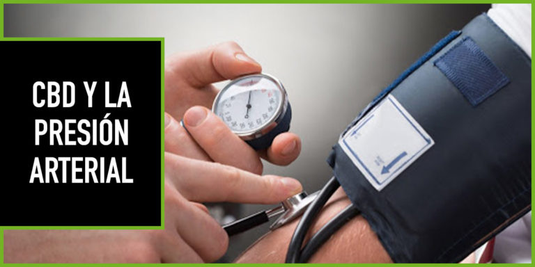 cbd-presion-arterial cbd y presión arterial