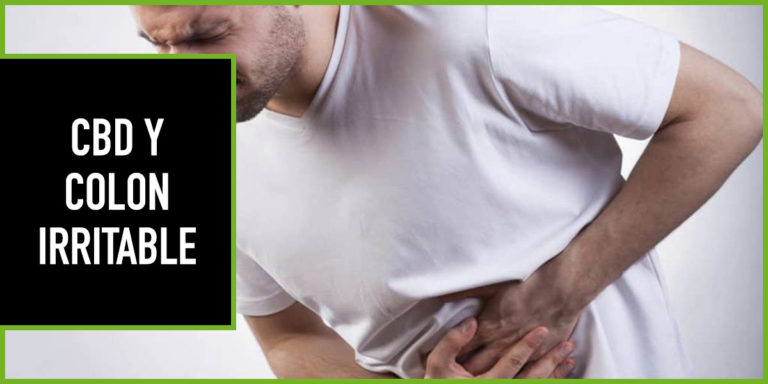 cbd-salud-intestinal cbd salud intestinal