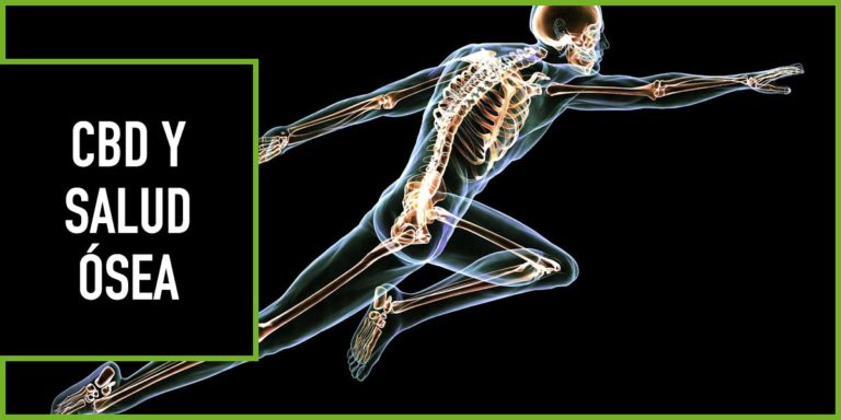 cbd-salud-osea CBD y salud osea