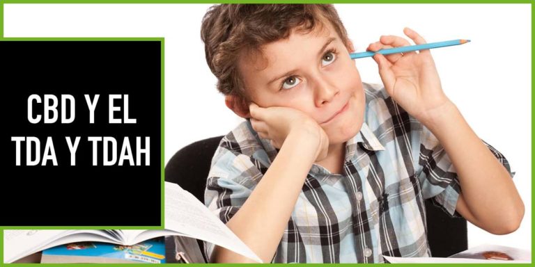 cbd-tda-tdah cbd y tda
