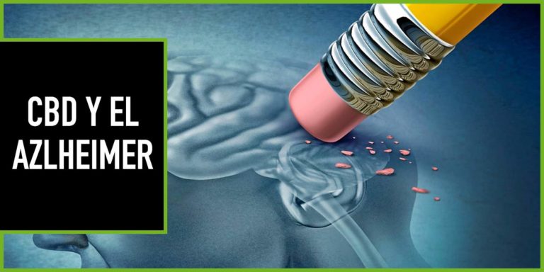 cbd-y-alzheimer cbd y alzheimer