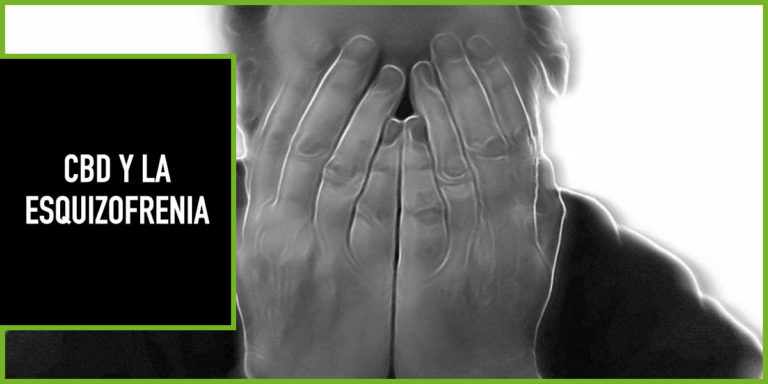 cbd-y-esquizofrenia cannabidiol y esquizofrenia