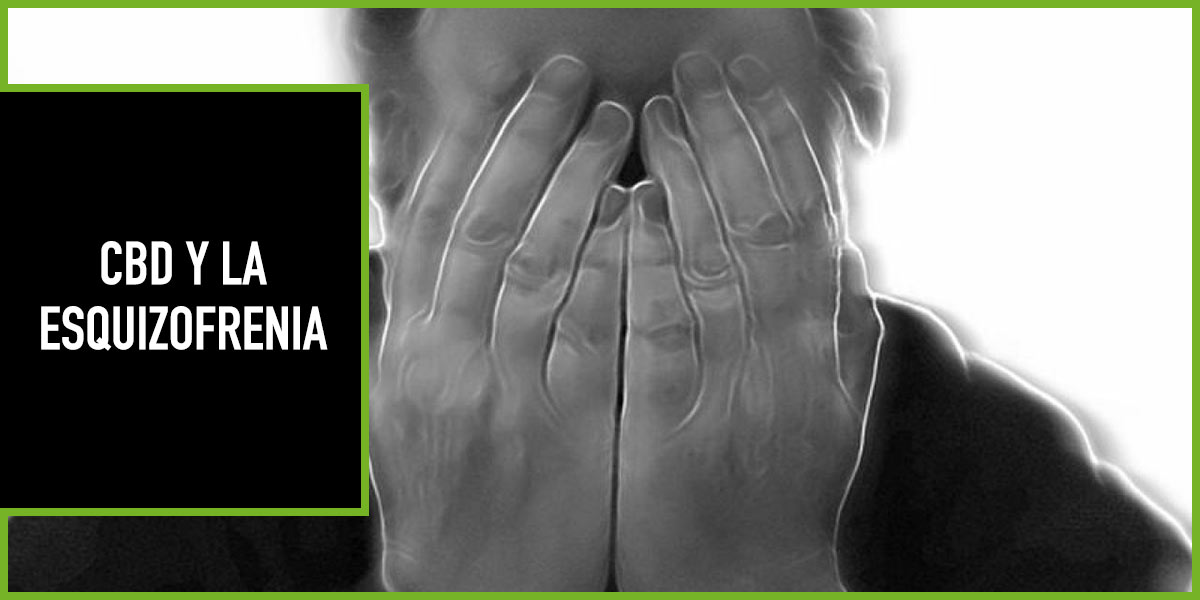 cannabidiol y esquizofrenia