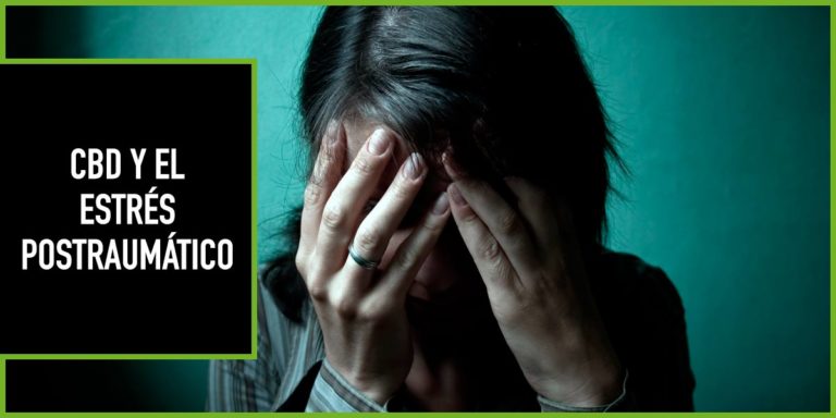 cbd-y-estres-postraumatico CBD y estres postraumático