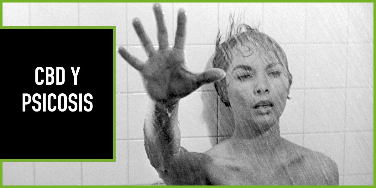 cbd-y-psicosis cbd y psicosis