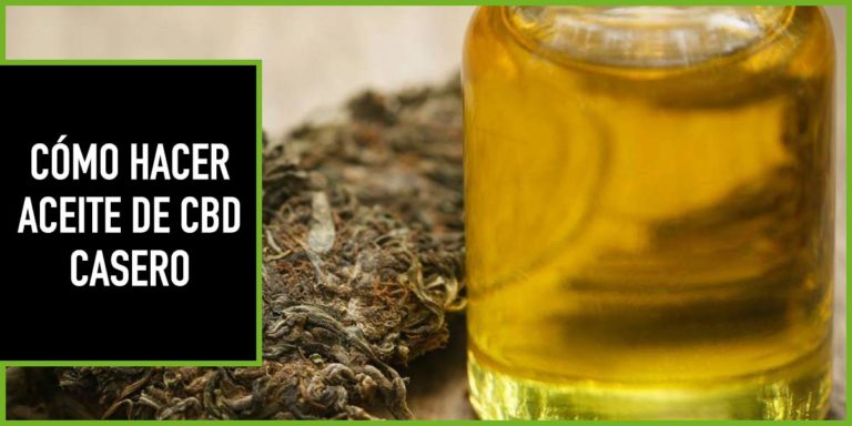 como-hacer-aceite-cbd-casero haz tu propio aceite de cbd en casa