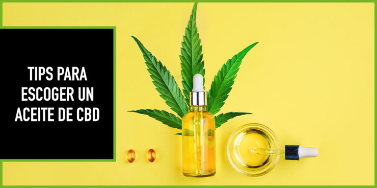 8-CONSEJOS-aceite-cbd 8 tips para comprar un aceite de cbd de calidad