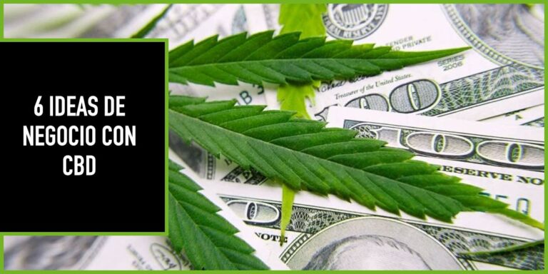 6-ideas-de-negocio-con-cbd