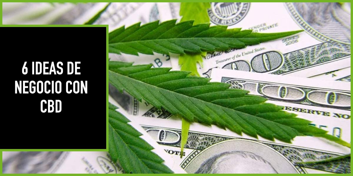 6-ideas-de-negocio-con-cbd