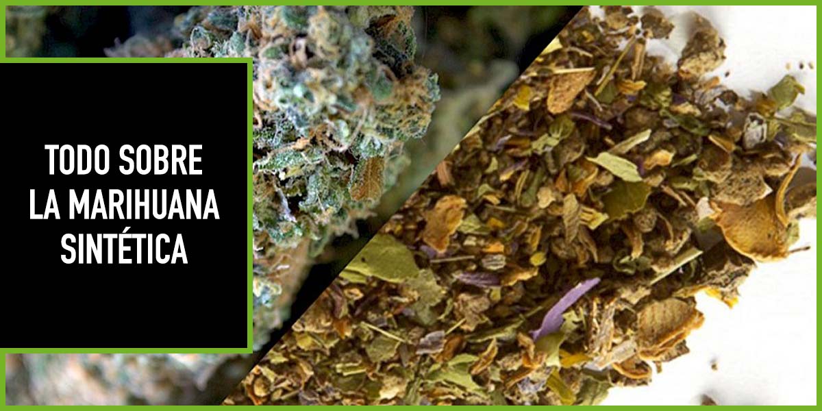comprar-marihuana-sintetica comprar marihuana sintetica