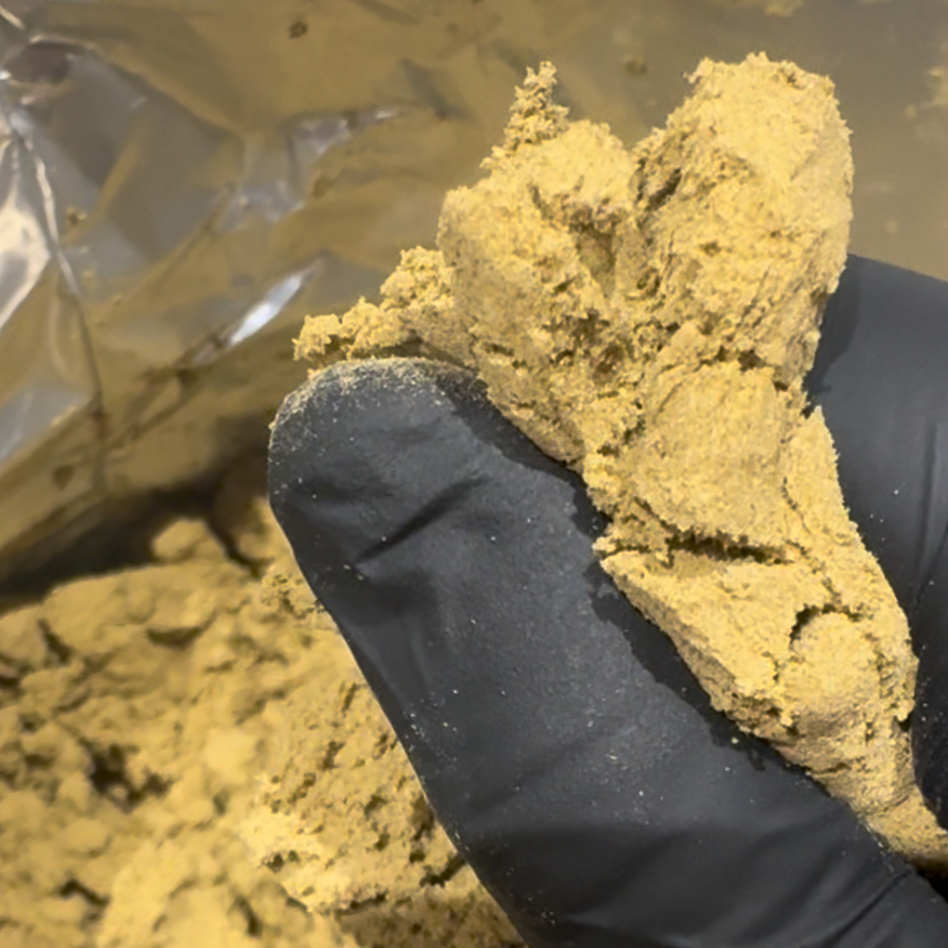 Kief La Mousse 4 Kief La Mousse - Imagen 4