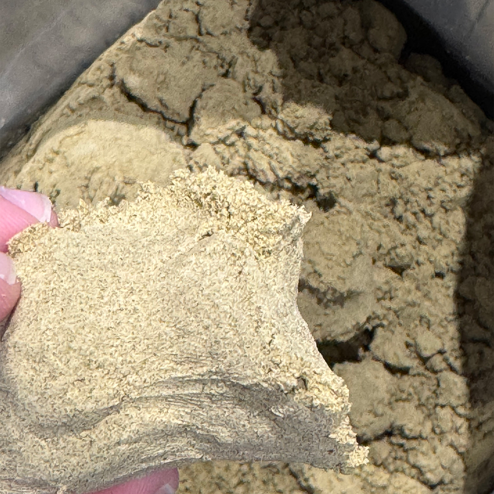 Kief La Mousse 3 Kief La Mousse - Imagen 3