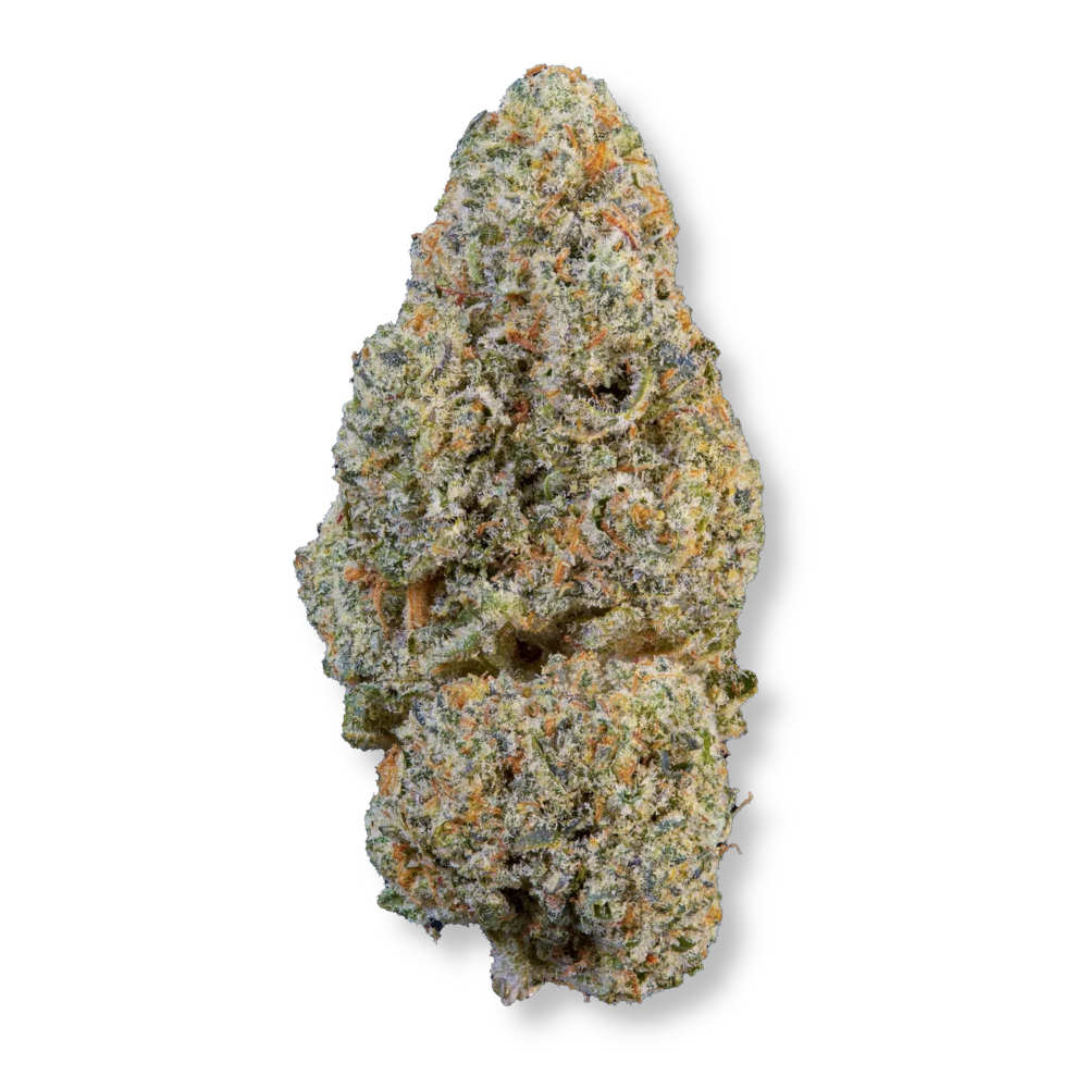 Wedding Cake Hydro