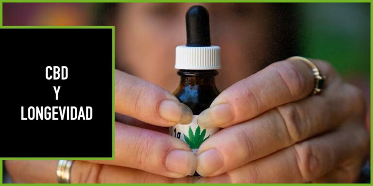 CBD-Y-LONGEVIDAD
