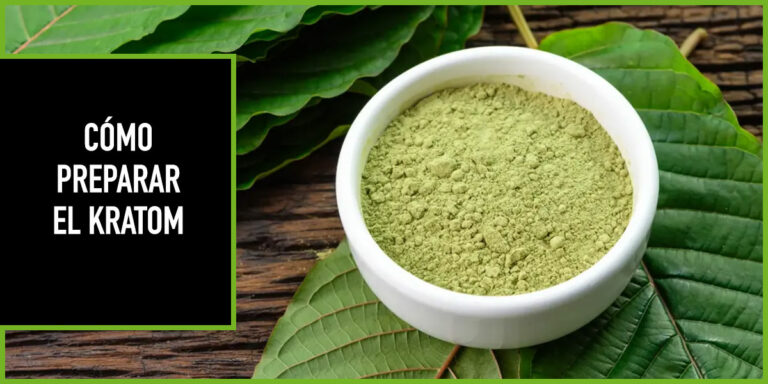 COMO-PREPARAR-KRATOM como preparar el kratom