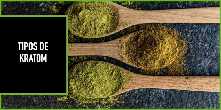 TIPOS-DE-KRATOM diferentes tipos de kratom