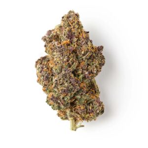 Gelato 33