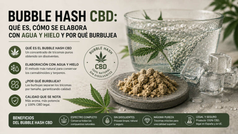 bubble-hash-guia Blog 4