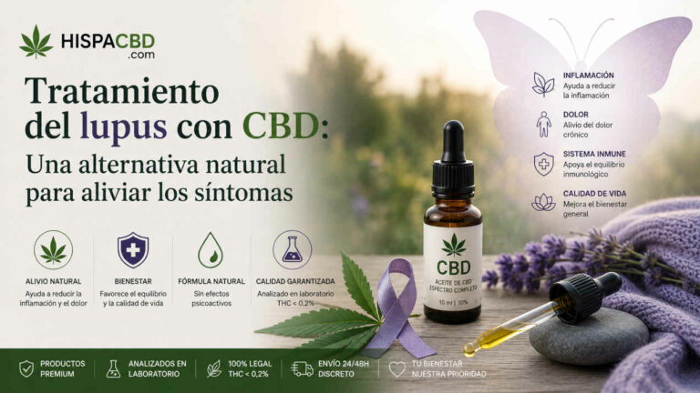 cbd-lupus Blog 10