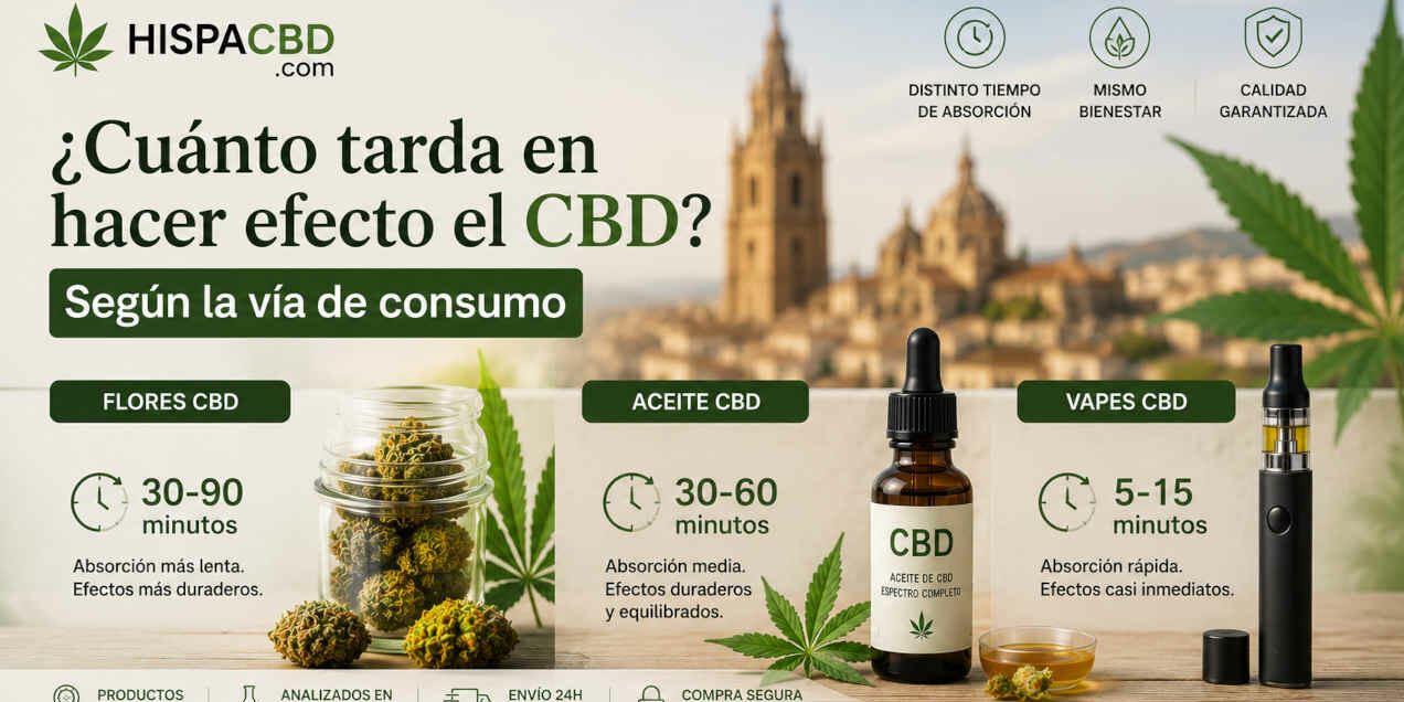 efecto-cbd-consumo